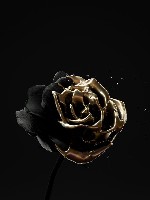 Generic placeholder thumbnail