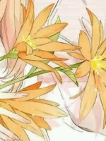 Generic placeholder thumbnail