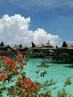 Generic placeholder thumbnail