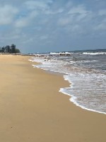 Generic placeholder thumbnail