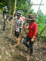 Generic placeholder thumbnail