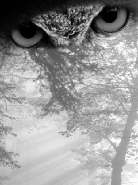 Generic placeholder thumbnail