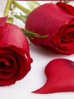 Generic placeholder thumbnail