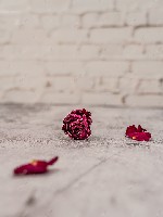 Generic placeholder thumbnail