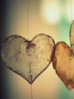 Generic placeholder thumbnail