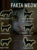 Generic placeholder thumbnail