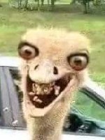 Generic placeholder thumbnail