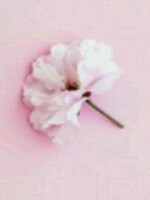 Generic placeholder thumbnail