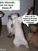 Generic placeholder thumbnail