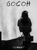 Generic placeholder thumbnail