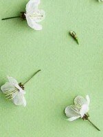 Generic placeholder thumbnail