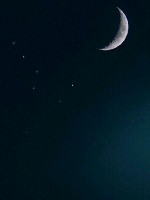 Generic placeholder thumbnail