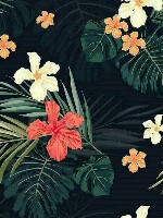 Generic placeholder thumbnail