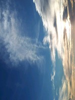 Generic placeholder thumbnail