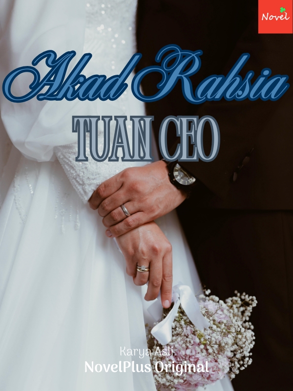 Akad Rahsia Tuan CEO